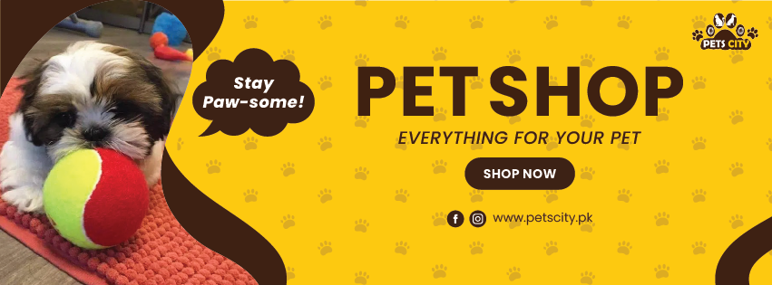 Pets City