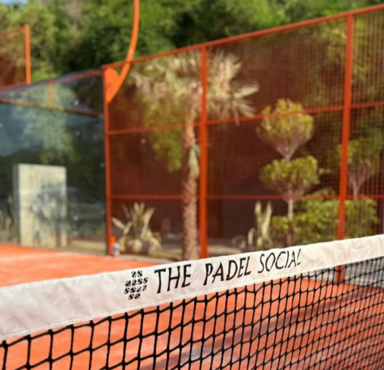 The Padel Social