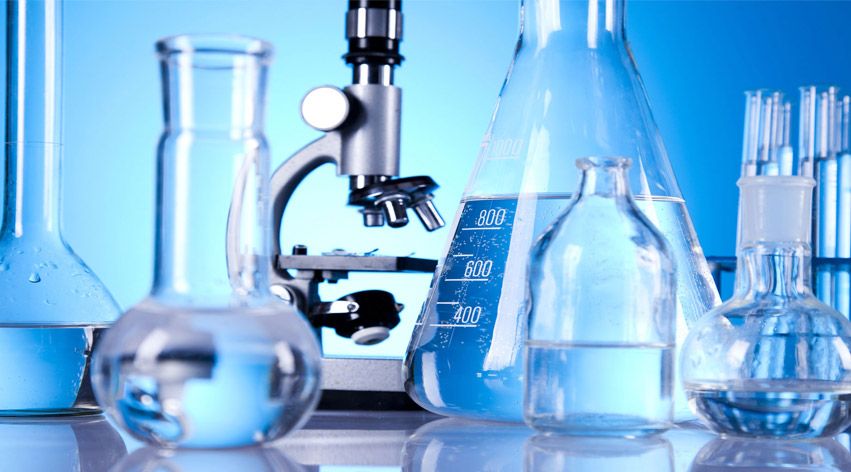 Dr Essa Lab