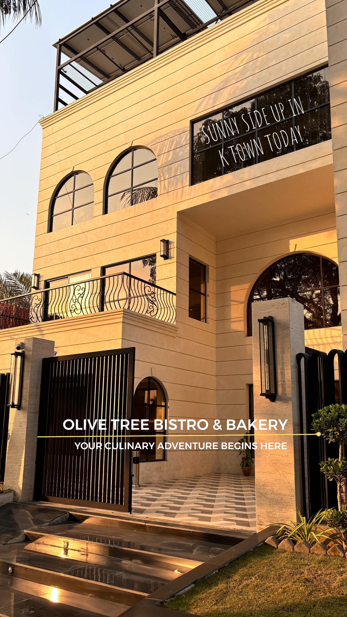 Olive Tree Bistro & Bakery
